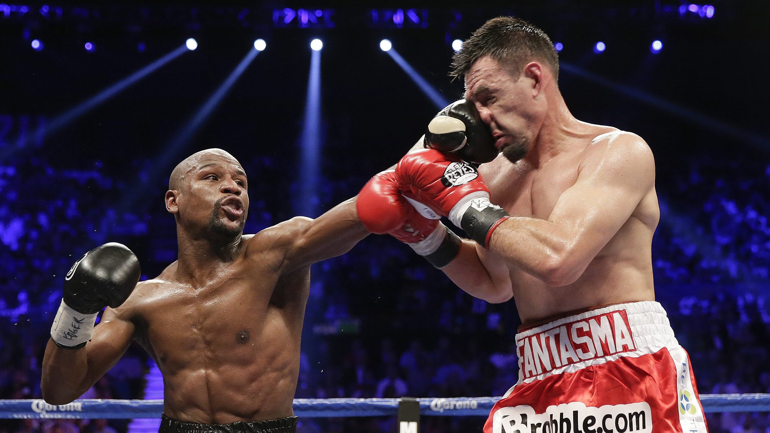 乒乓球赛场焦点!法国队对阵德国队,强强对话引爆全球球迷关注